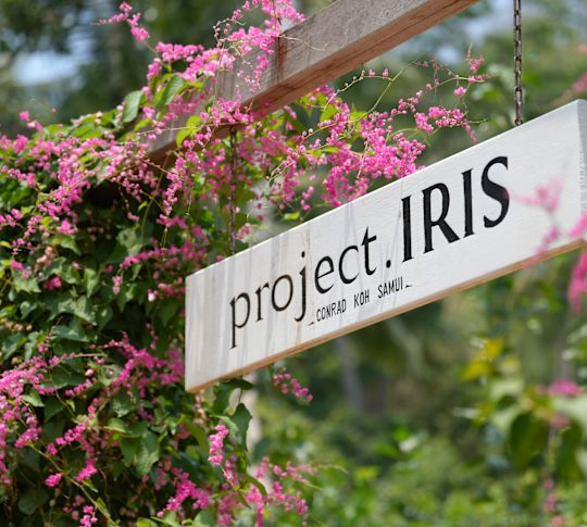 Projeto Iris
