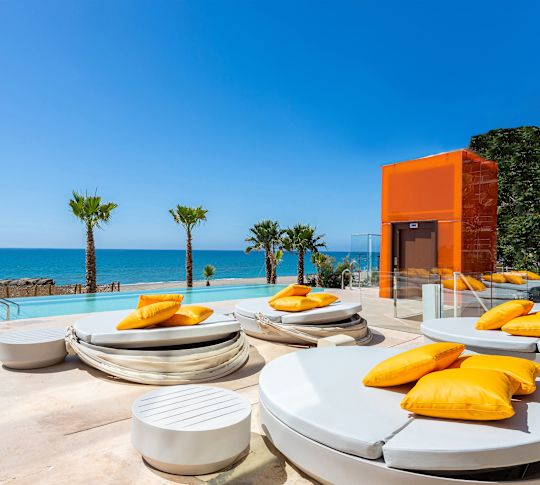 Outdoor Pool Area with Comfortable Seats and Palm Trees