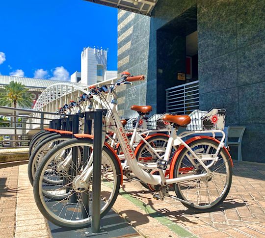 Biciclete închiriate în fața hotelului