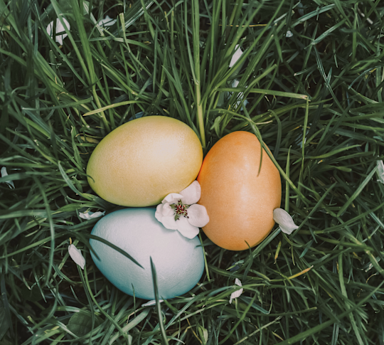 Three Easter Eggs on a Field