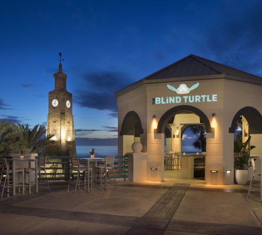 Blind Turtle Bar Exterior with Clockwork Tower at Dusk