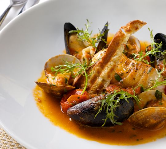 힐튼의 멋진 물고기