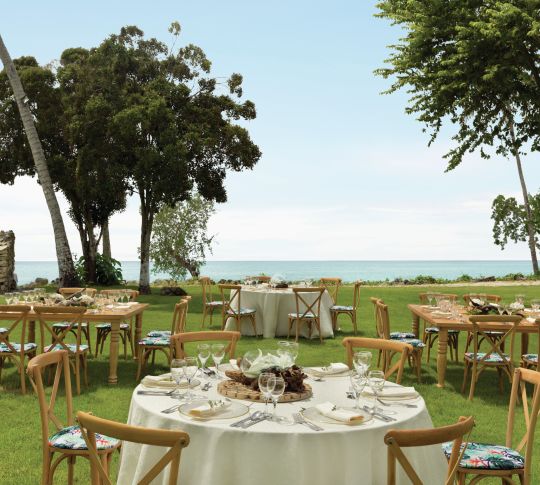 a group of dining tables in a garden on a beach