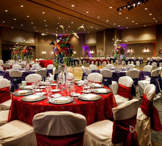 Wedding Reception