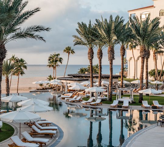 Palm tree-lined infinity pool surrounded by white beach loungers and umbrellas