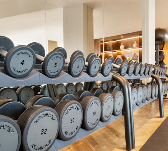 Weights in Fitness Center