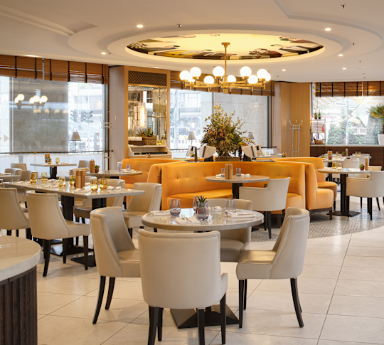 Roca Restaurant Dining Area