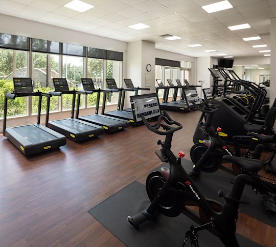 Máquinas trotadoras y otros equipos modernos en un gimnasio