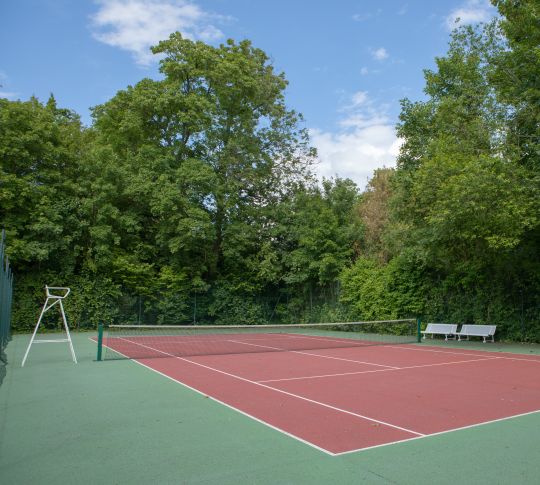 設有淨樹的網球場