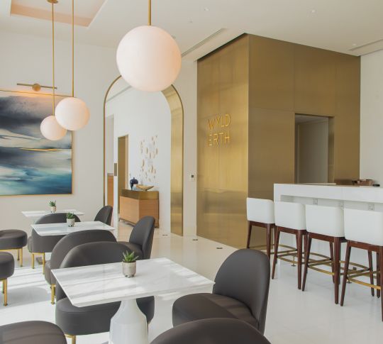 Wyld Erth Restaurant Dining Area