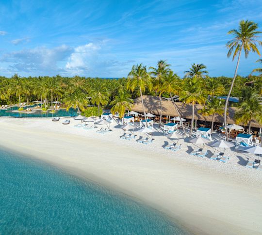 View of Nava Beach with Lounge Chairs and Palm Trees