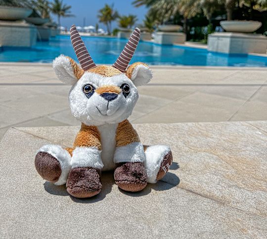 stuffed toy, Kabir the Oryx