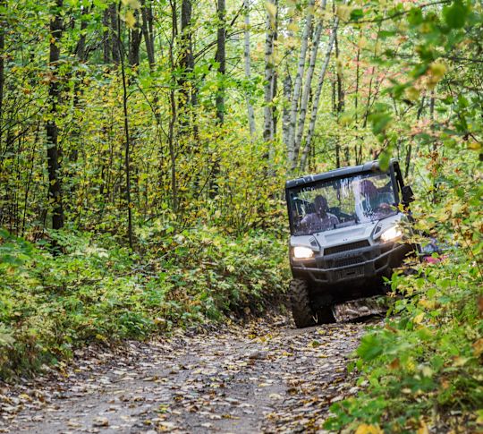 Two guys in a side-by-side on a trail in the forest.