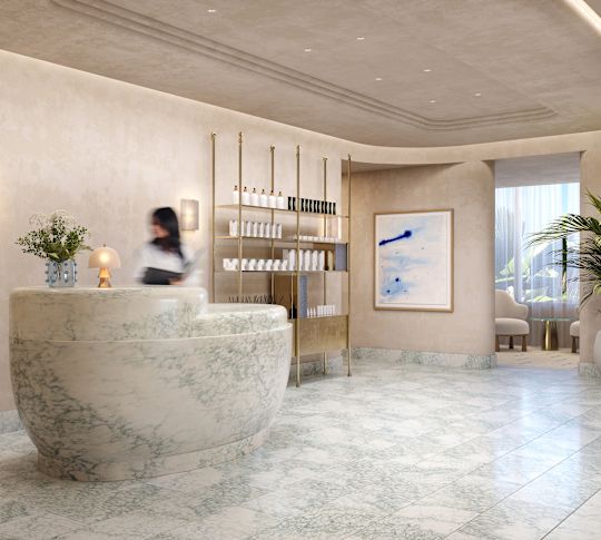 Woman at the Spa Reception Area-transition