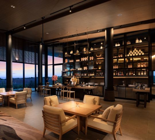 Bartender Preparing a Drink at Vanya Bar