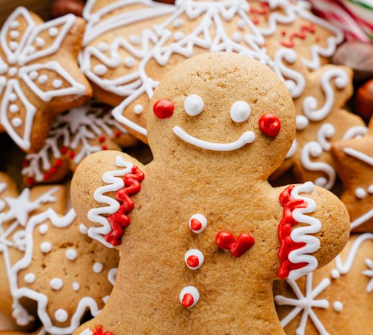 gros plan d'un bonhomme en pain d'épices