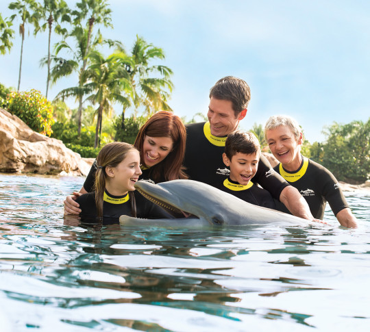 Family in water with Dolphin