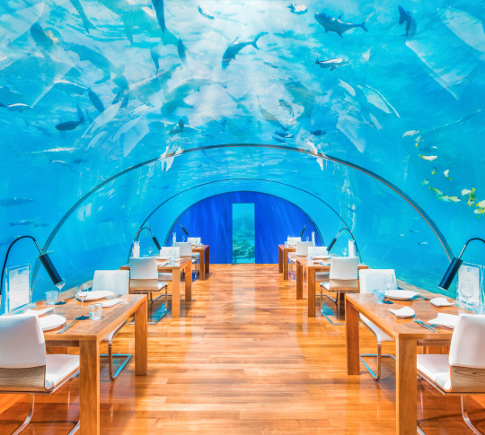 Ithaa Undersea Restaurant Seating