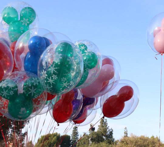 View of balloons outdoors