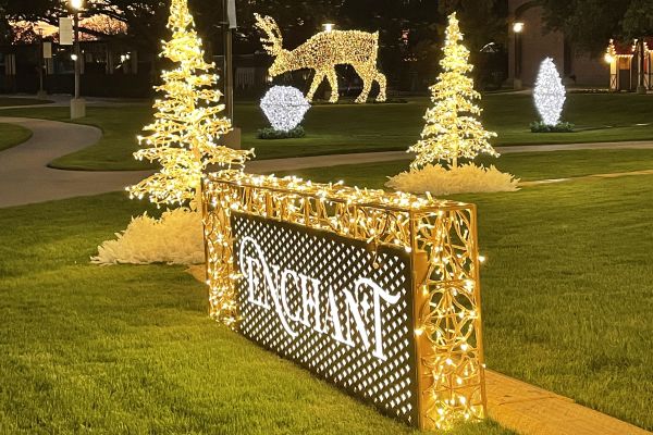 Enchant sign lights and deer decoration