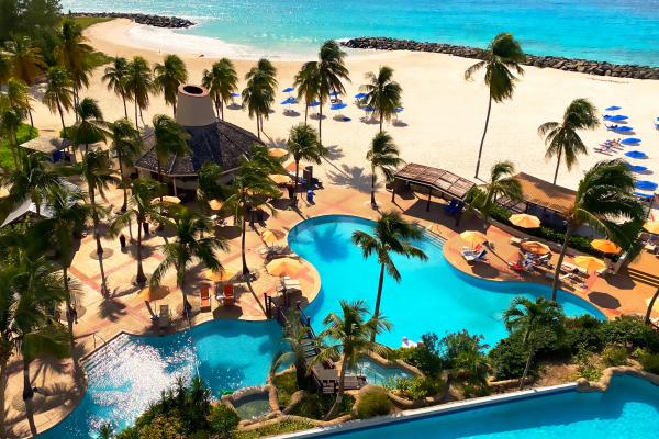 Outdoor Pool Area with Palm Trees Lounge Chairs and View of the Beach