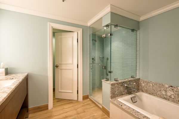 Executive double suite bathroom with tub and shower