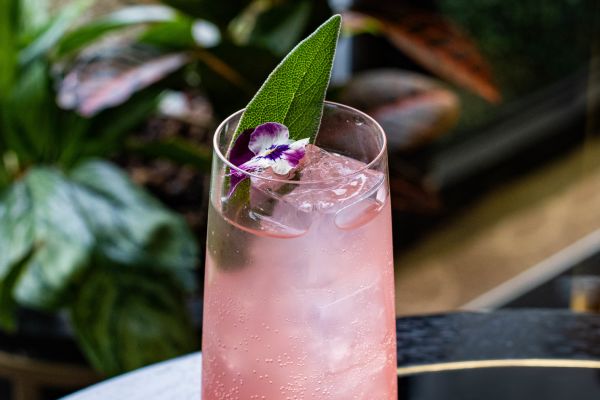 Close-up of pink cocktail
