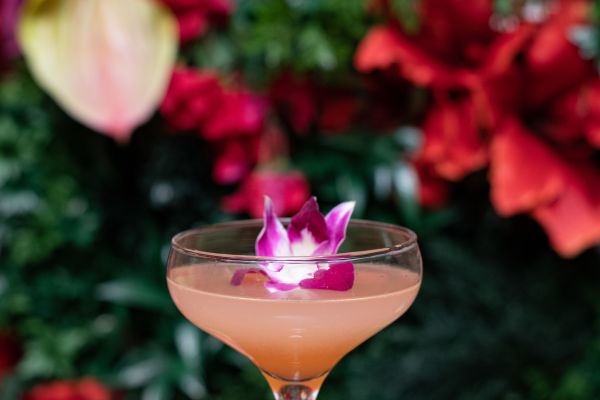 Close-up of pink cocktail with flower in glass