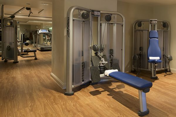 Fitness center with bench and resistance machines