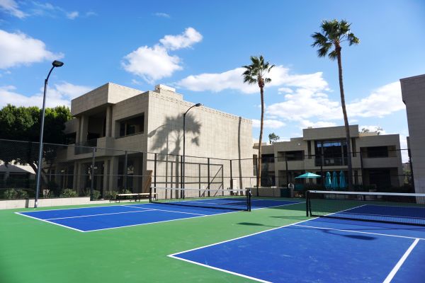 Sports courts with palm trees