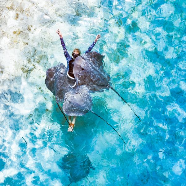 Person swimming with stingrays