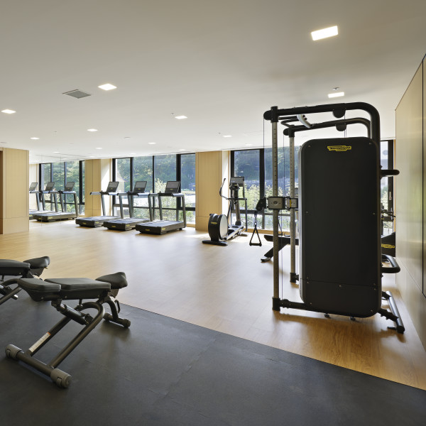 Fitness Area with Treadmills and Recumbent Bikes at the Spa