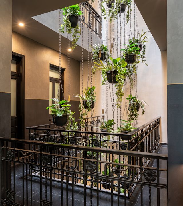 Vnitřní závěsná zahrada