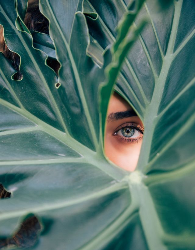 Person looking through leaf