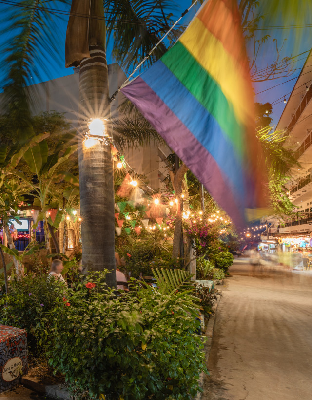 LGBTQ Flag Displaying on a Seating Area with Palm Trees and Plants