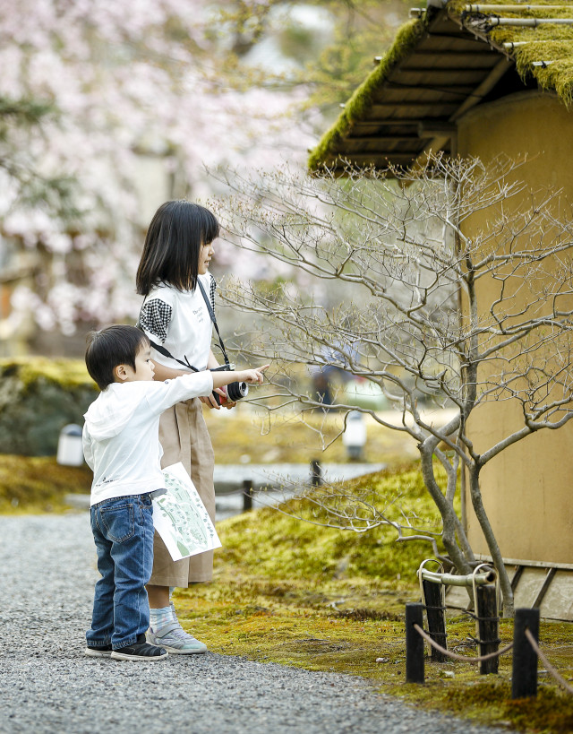 boy pointing at tree, with girl holding camera