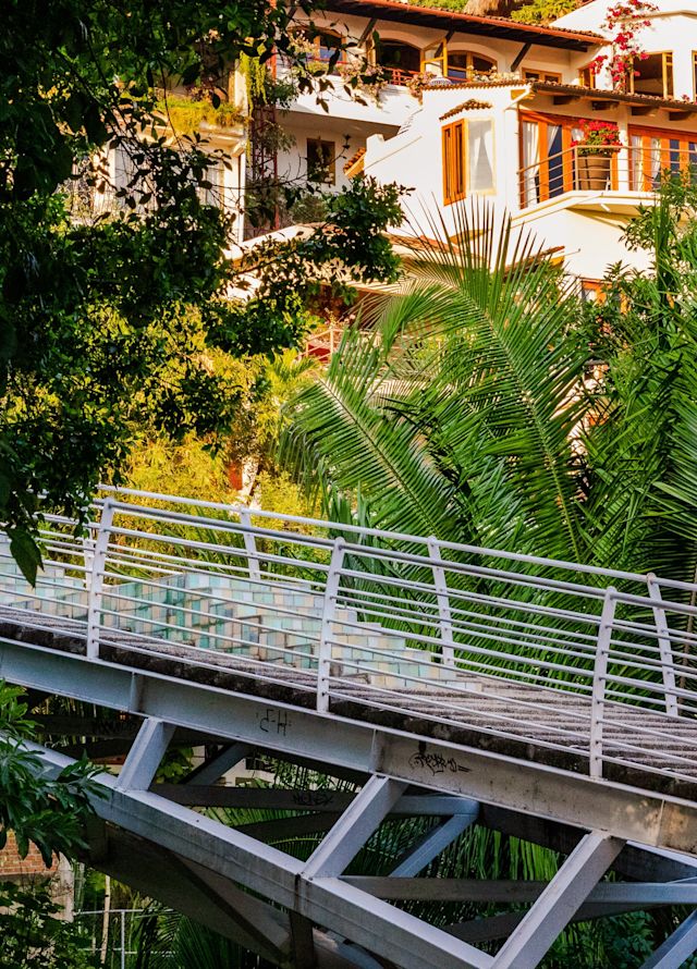 Fußgängerbrücke mit Bäumen auf beiden Seiten