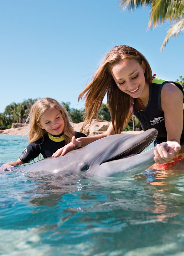 Niñas nadando con un delfín