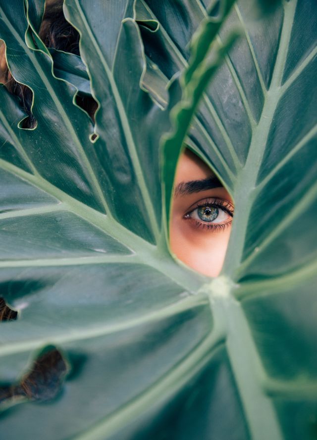 Person looking through leaf