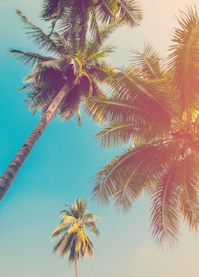 Summer by the Bay