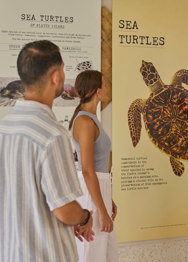 الأنشطة السياحية