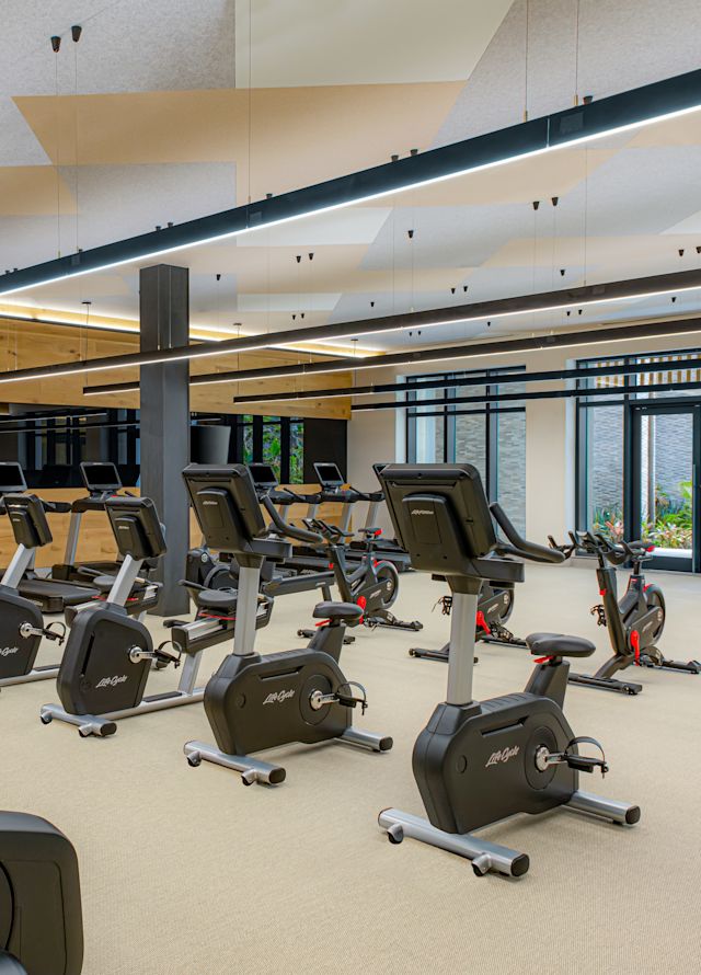 트레드밀, 리컴번트 자전거 및 기타 장비가 있는 피트니스 센터