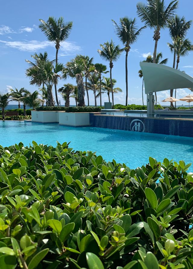 View of Outdoor Pool Area with Palm Trees in Background