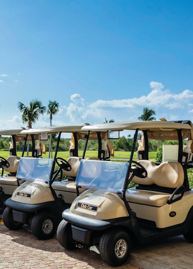 Golf Carts Lined up Next to Course