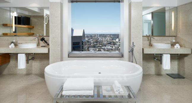 Master Suite Bathtub with City View