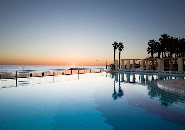 Horizon Pool overlooking the water, palm trees