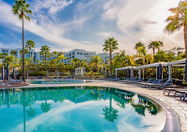 Outdoor Pool Area with Palm Trees