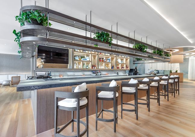 Barto'nun iç mekanı. Yastıklı uzun bar tabureleri, yüzer raflarda duran saksılı bitkilerin bulunduğu tam dolu barın önünde yer alır.