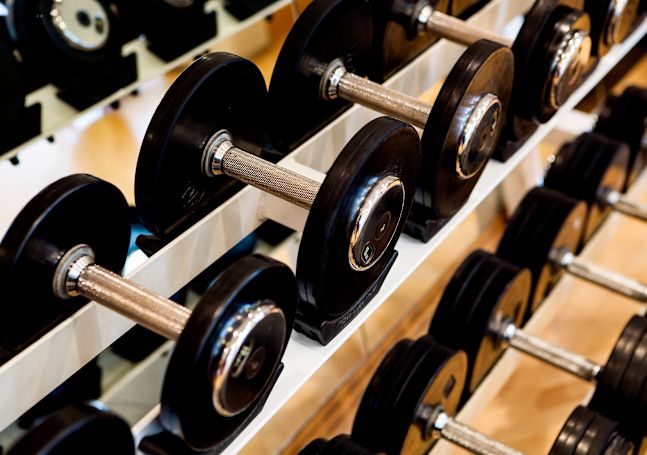 Health Club Dumbbells'