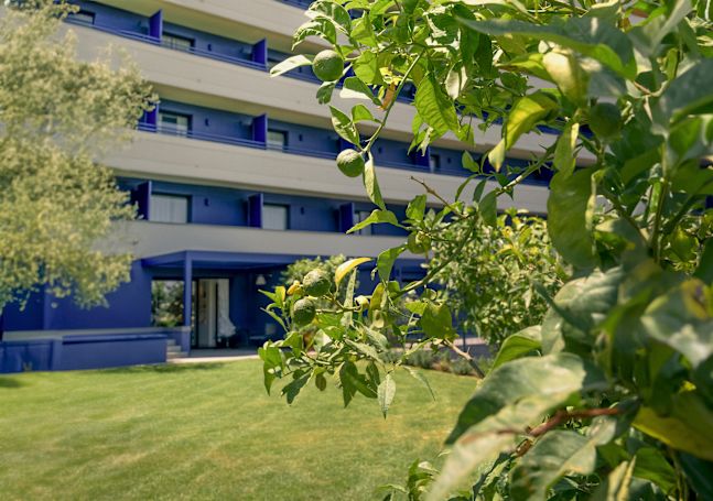 Garden View in a Hotel